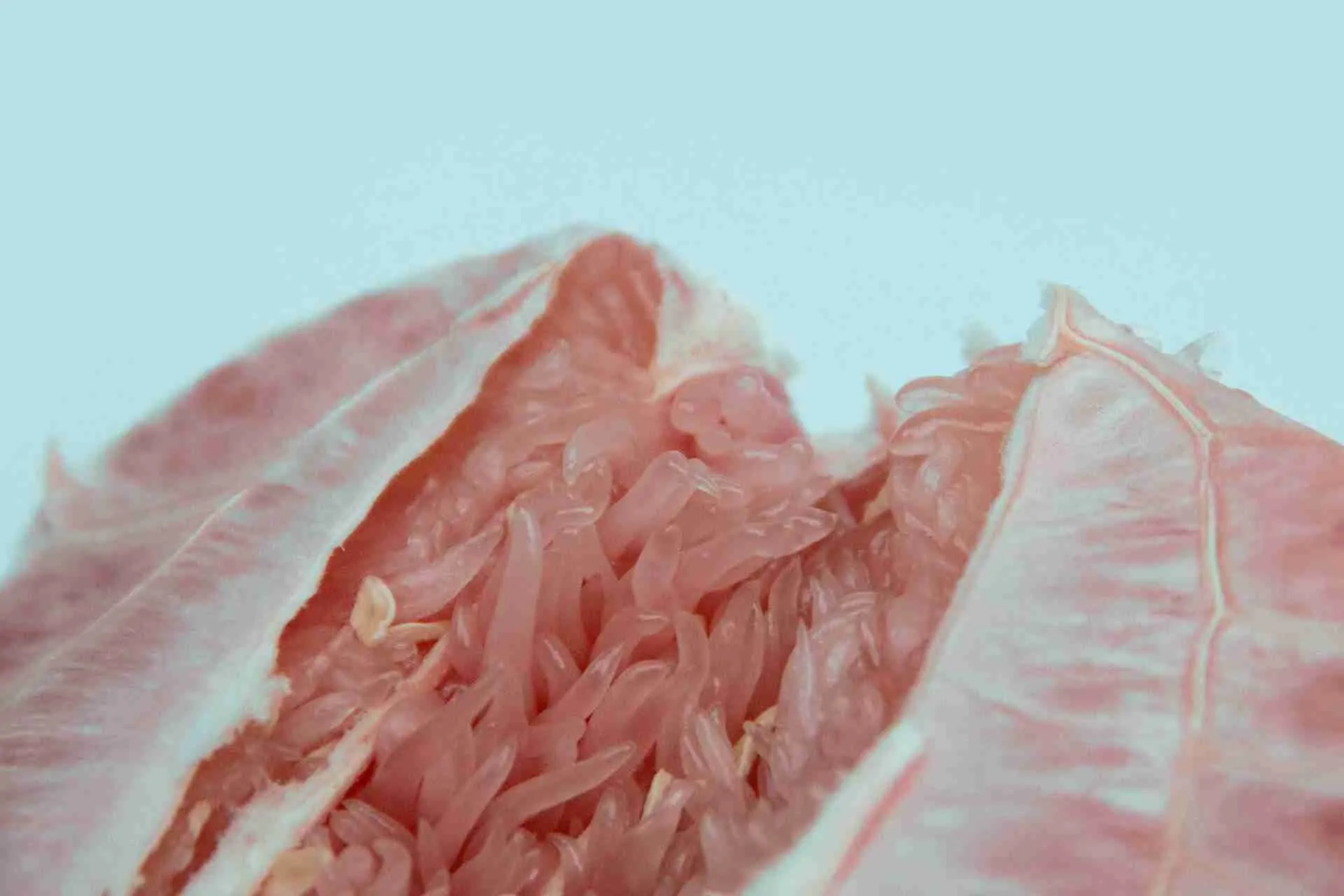 Optimize your escort website to attract the right audience and stand out in a competitive market. Learn SEO strategies tailored for the adult industry.